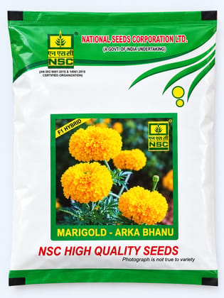 NSC HIGH-QUALITY ARKA BHANU F1 HYBRID MARIGOLD SEEDS- 1 GMS 