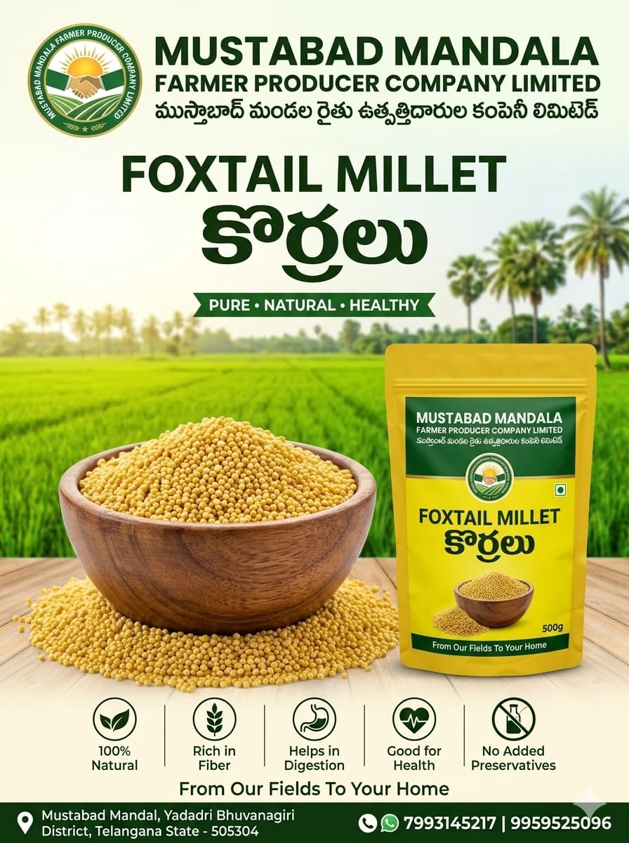 Mustabad Mandala Foxtail Millet (Korralu) - 500g