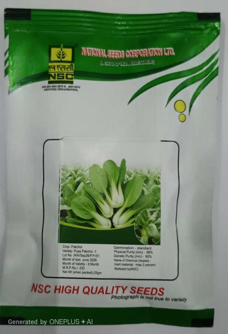 Pakchoi PUSA PAKCHOI 25 GM