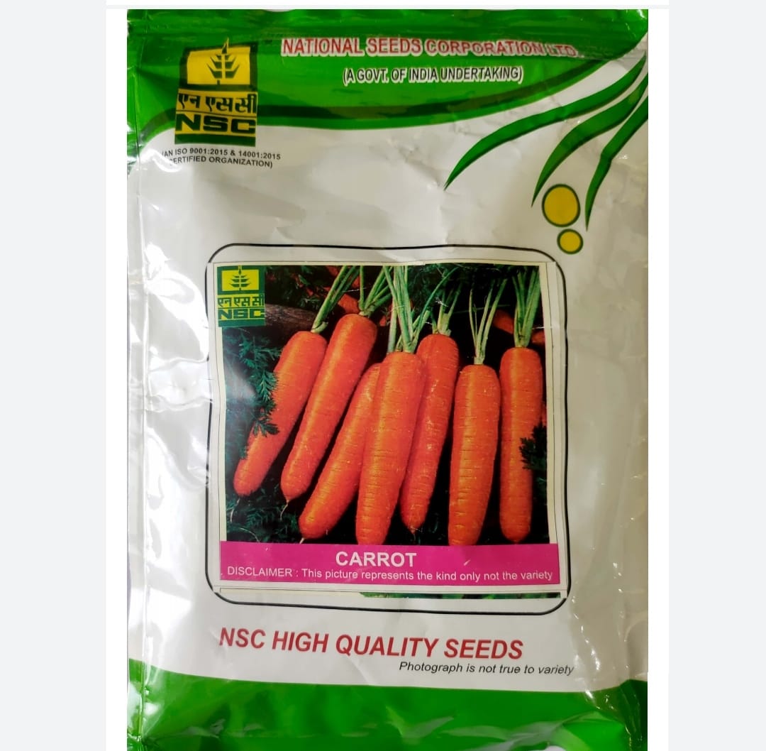  NSC Carrot Seeds (Pusa Nantes) 100 gm
