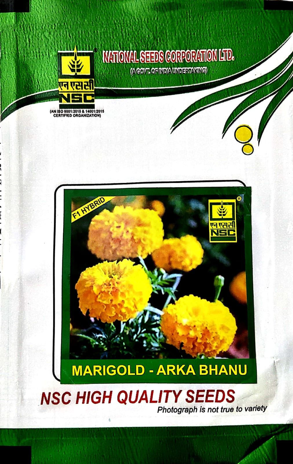 NSC MARIGOLD VARIETY ARKA BHANU HIGH QUALITY F 1 HYBRID SEED 1 GMS POUCH