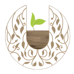 MUSAFAH ENTERPRISES