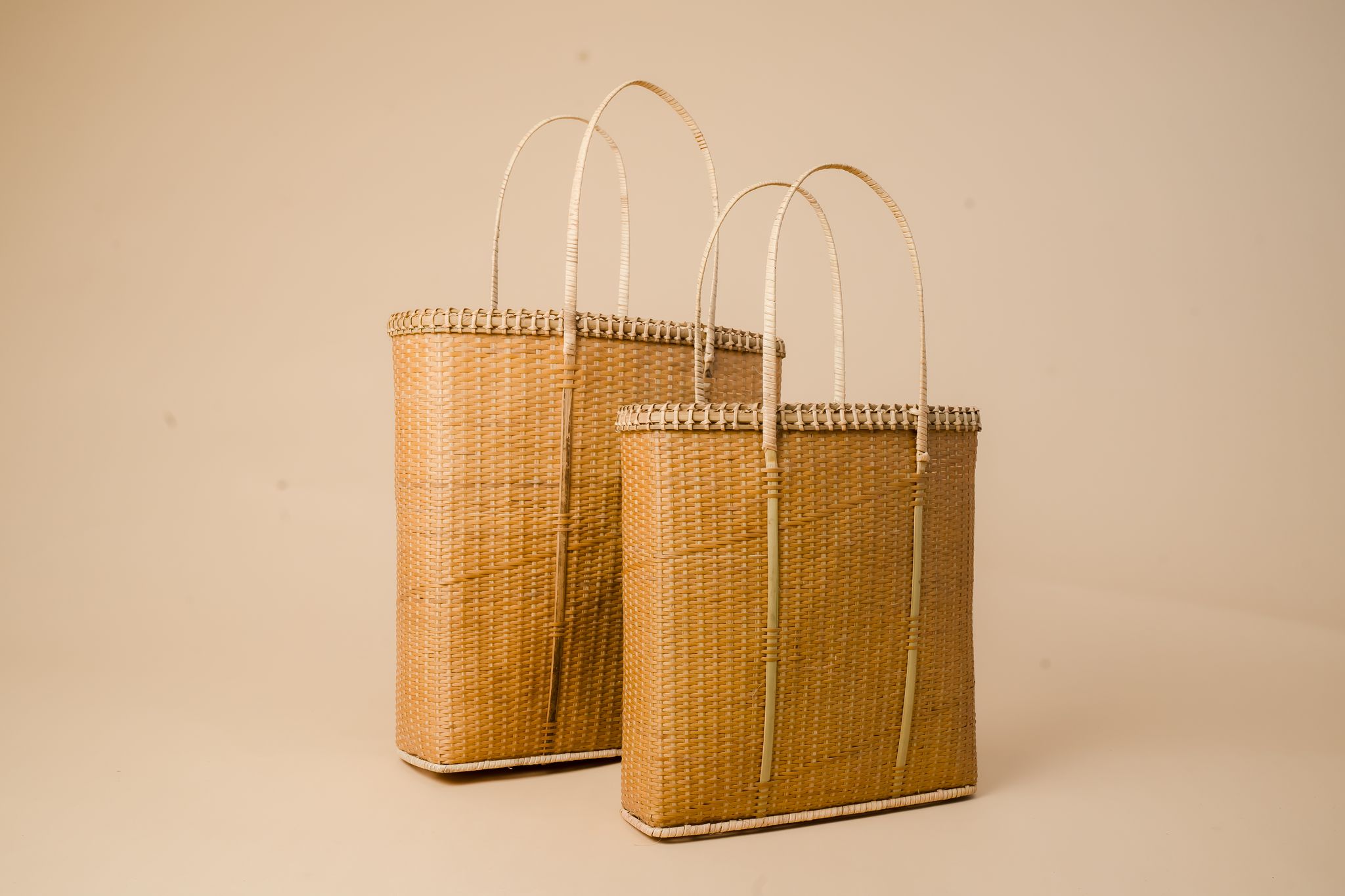 Shopping Bag 01