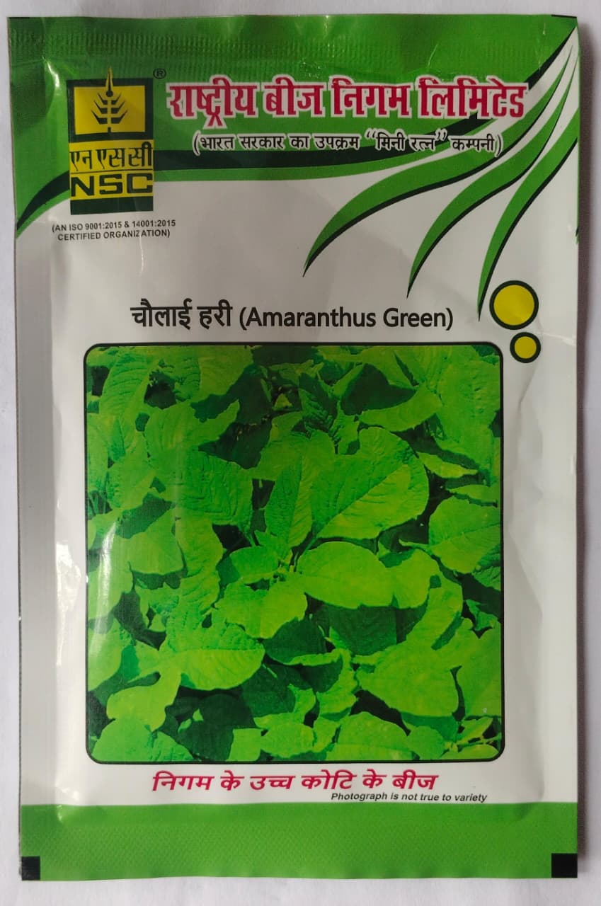 Nsc Green Amaranthus (chaulai Saag) Co-2 Variety, 50 Gram T/l Seed
