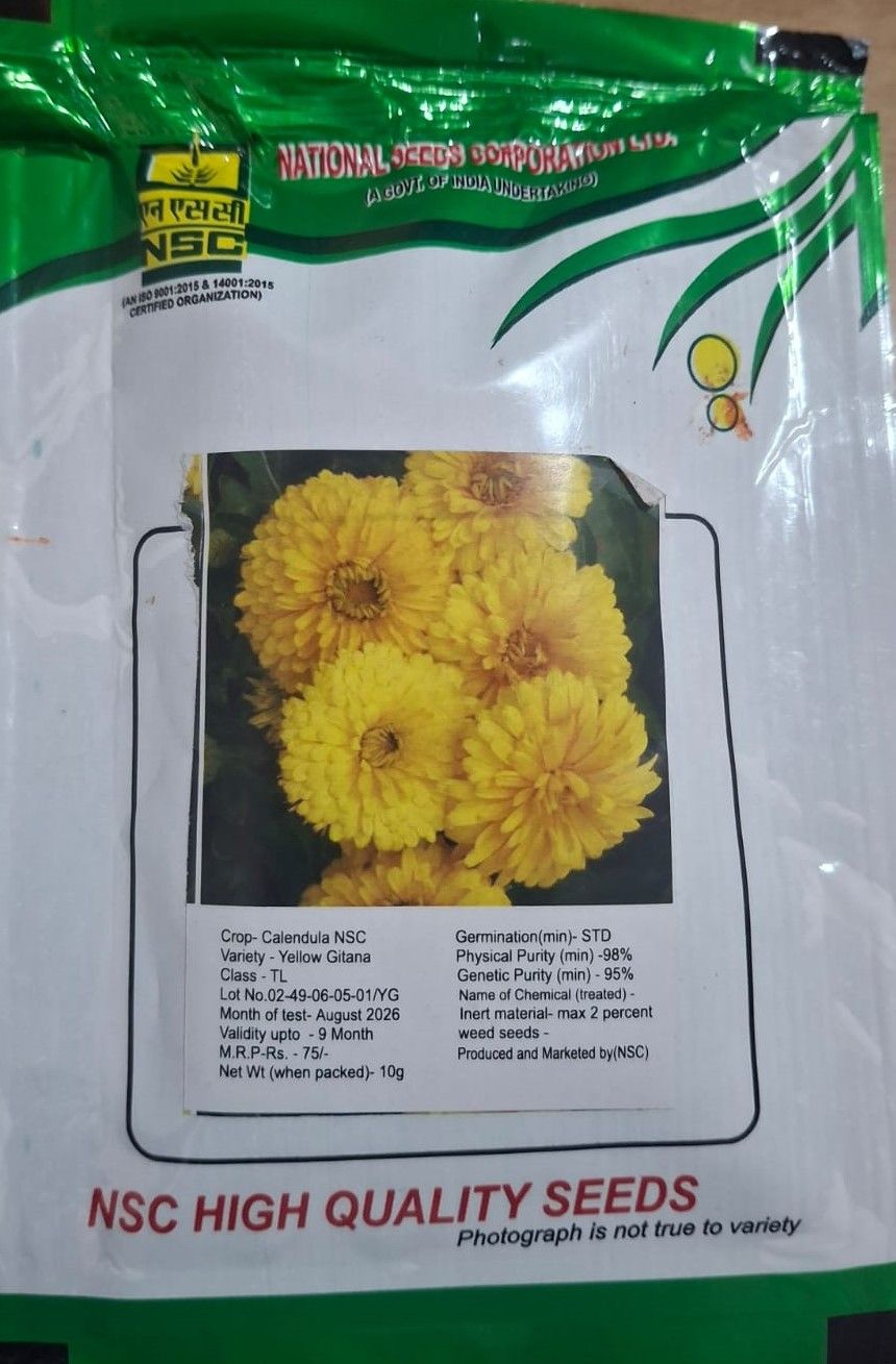 NSC Calendula TL Seeds Variety Yellow Gitana 10g