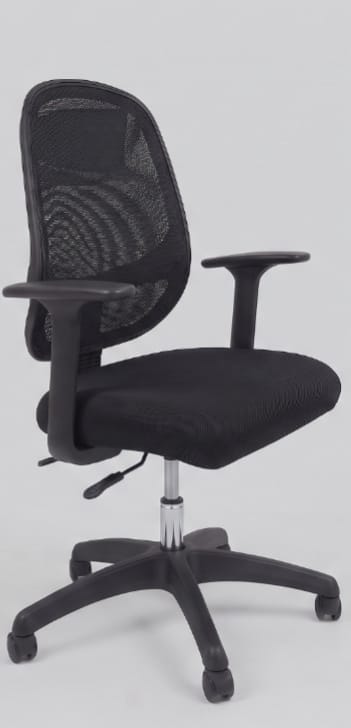Ergonomic Mesh Mid-Back Office Chair, Adjustable Arms, Swivel Base, Black