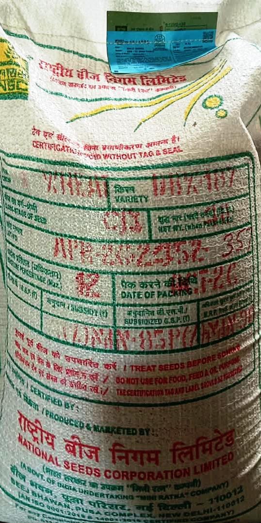 WHEAT DBW-187