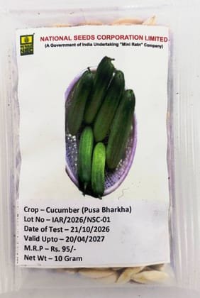 NSC Cucumber Pusa Bharkha, 10 Gram TL seed