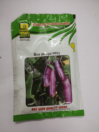 NSC_Brinjal_variety PPC_100 gm