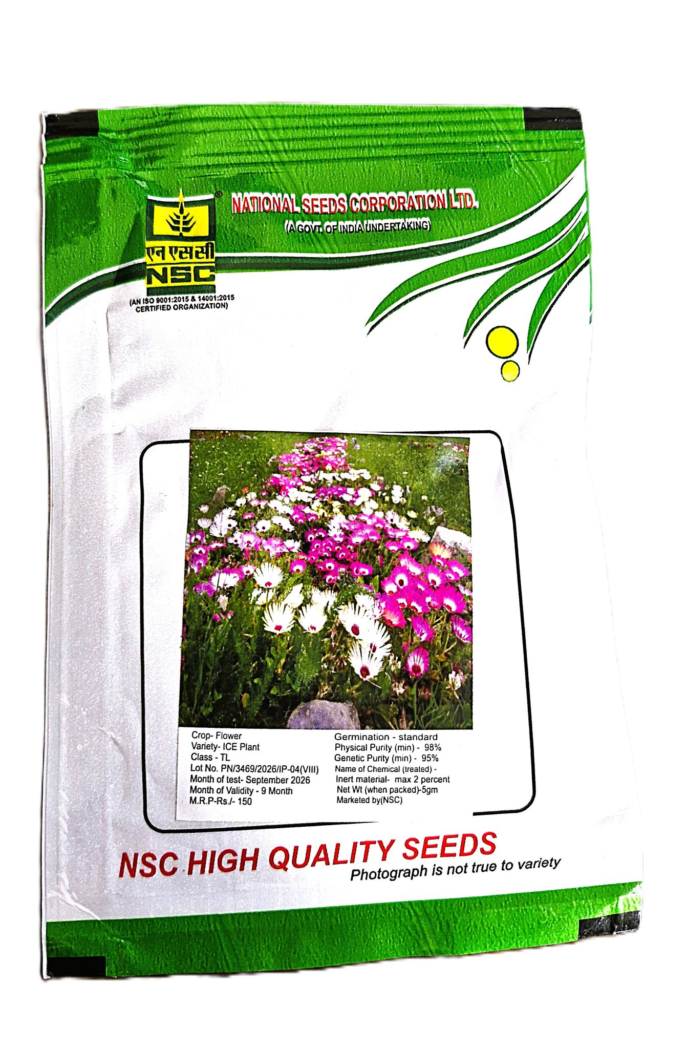 NSC Ice Plant Flower Seeds – 5 Gram Pack