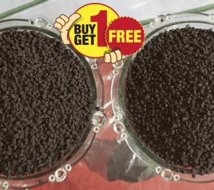 BUY 100 GRAMS GOOD QUALITY CTC &GET SAME CTC 100 GRAMS FREE WITH FREE SHIPNG BUY 100 GRAMS GOOD QUALITY CTC &GET SAME CTC 100 GRAMS FREE WITH FREE SHIPNG