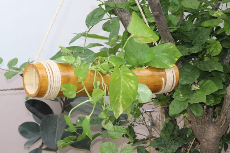 bamboo hanging planter