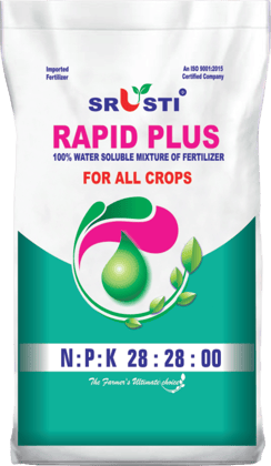 RAPID PLUS  (28-28-0)-1KG