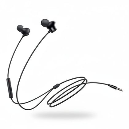 Mi Dual Driver In-Ear Earphones