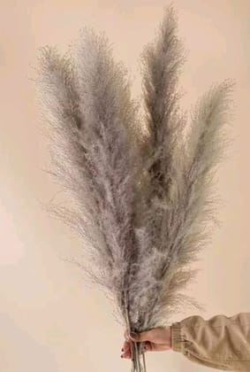 Nataral Dry Flowers 10 Sitck Home Decorartificial Dry Flowers Nataral Dry Flowers 10 Sitck Home Decorartificial Dry Flowers