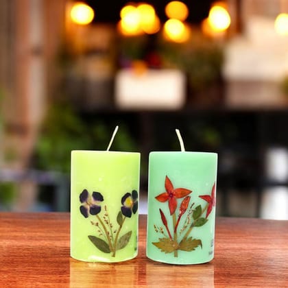 Lemongrass and Ylang Ylang Scented Eco-friendly Soy Wax Pillar Candles-Set of 2 - Vanilla