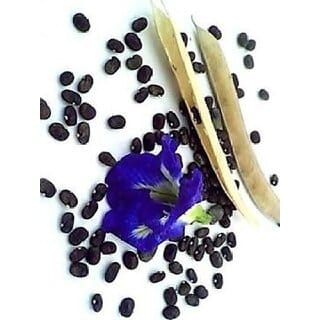 Nirmal Aprajita, Blue, Butterfly flower, Flower Seed (5 per packet)