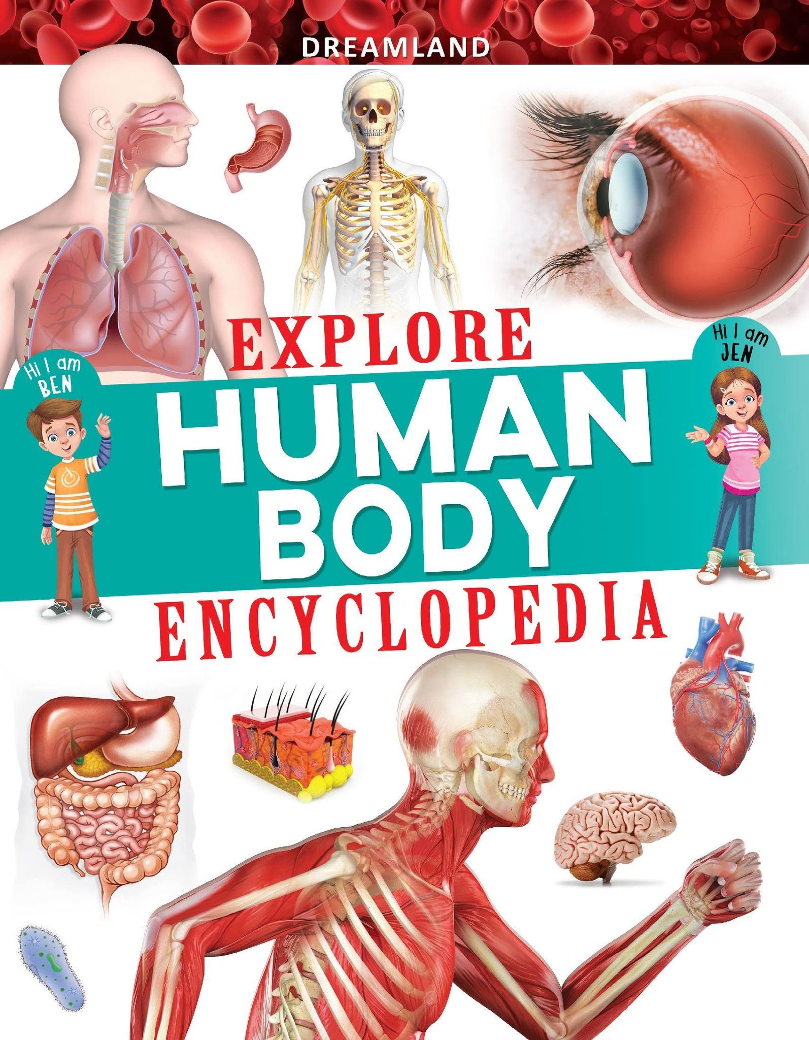 Explore Human Body Encyclopedia [Paperback] Dreamland Publications