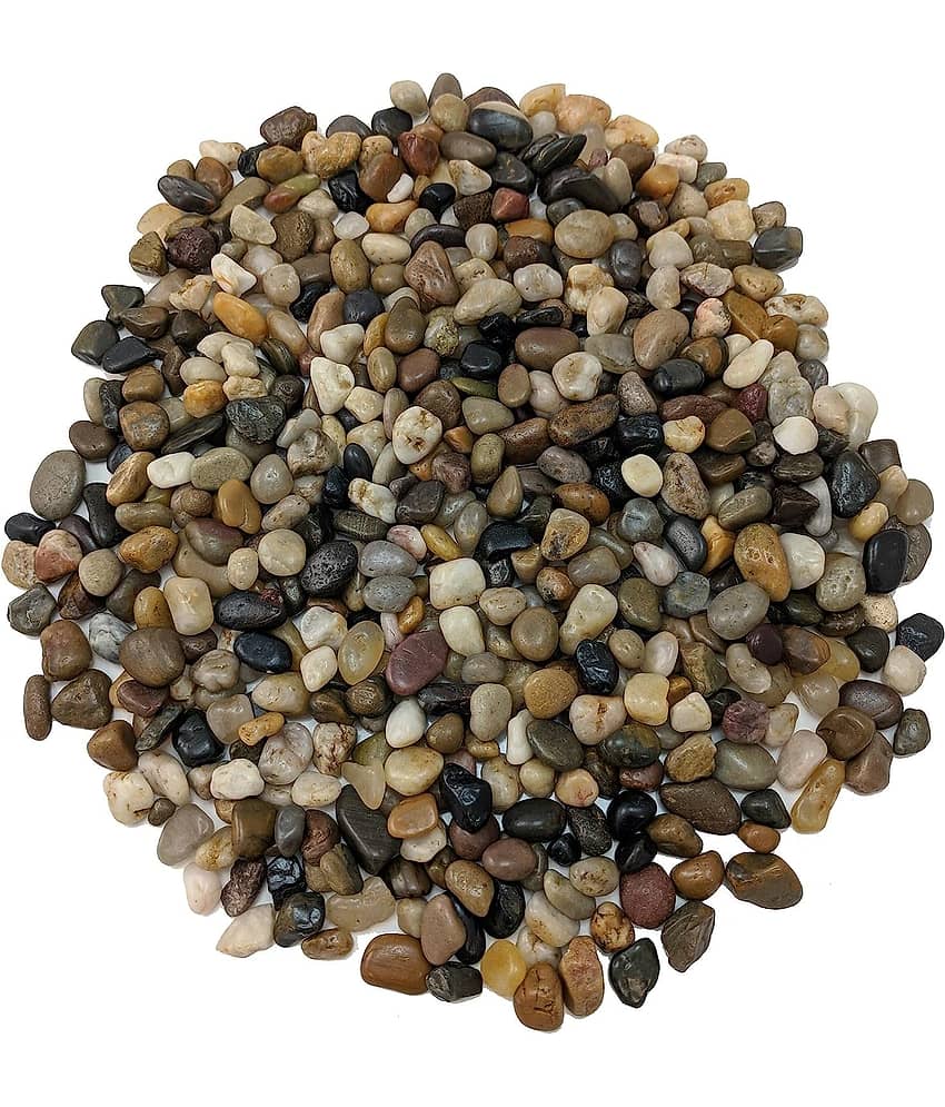 Green plant indoor Natural Stones