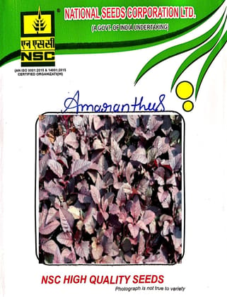 NSC-AMARANTHUS-ARKA ARUNIMA-50 GMS SEEDS