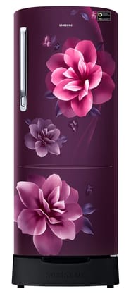 Samsung 223L 3 Star Inverter Direct-Cool Single Door Refrigerator Appliance (RR24C2823CR/NL,Camellia Purple) Base Stand Drawer Samsung 223L 3 Star Inverter Direct-Cool Single Door Refrigerator Appliance (RR24C2823CR/NL,Camellia Purple) Base Stand Drawer Samsung 223L 3 Star Inverter Direct-Cool Single Door Refrigerator Appliance (RR24C2823CR/NL,Camellia Purple) Base Stand Drawer Samsung 223L 3 Star Inverter Direct-Cool Single Door Refrigerator Appliance (RR24C2823CR/NL,Camellia Purple) Base Stand Drawer