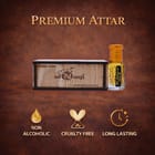... ...