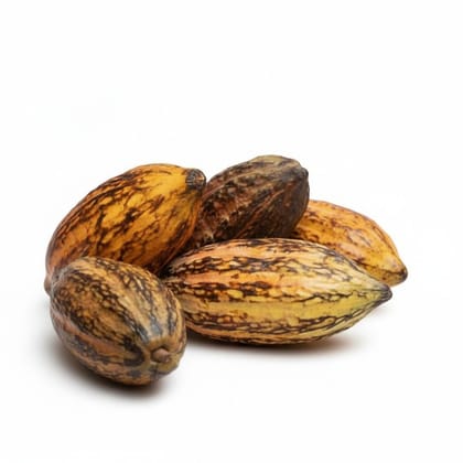 Raw Organic Cocoa Pods - 1 kg - One kilogram of raw cocoa pods
