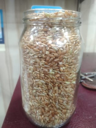 Pahad Organics Red Rice Himachali 500 Gram Grown by Local Farmers with Organic Inputs