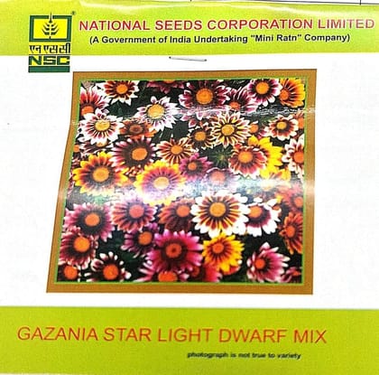 NSC Gazania Star Light Dwarf Mix Flower Seed NSC Gazania Star Light Dwarf Mix Flower Seed