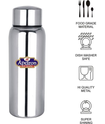 APEIRON Silver 500 mL Water Bottle set of 1