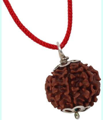 Astrodidi 6 Mukhi Rudraksha Pendant With Lab Certificate