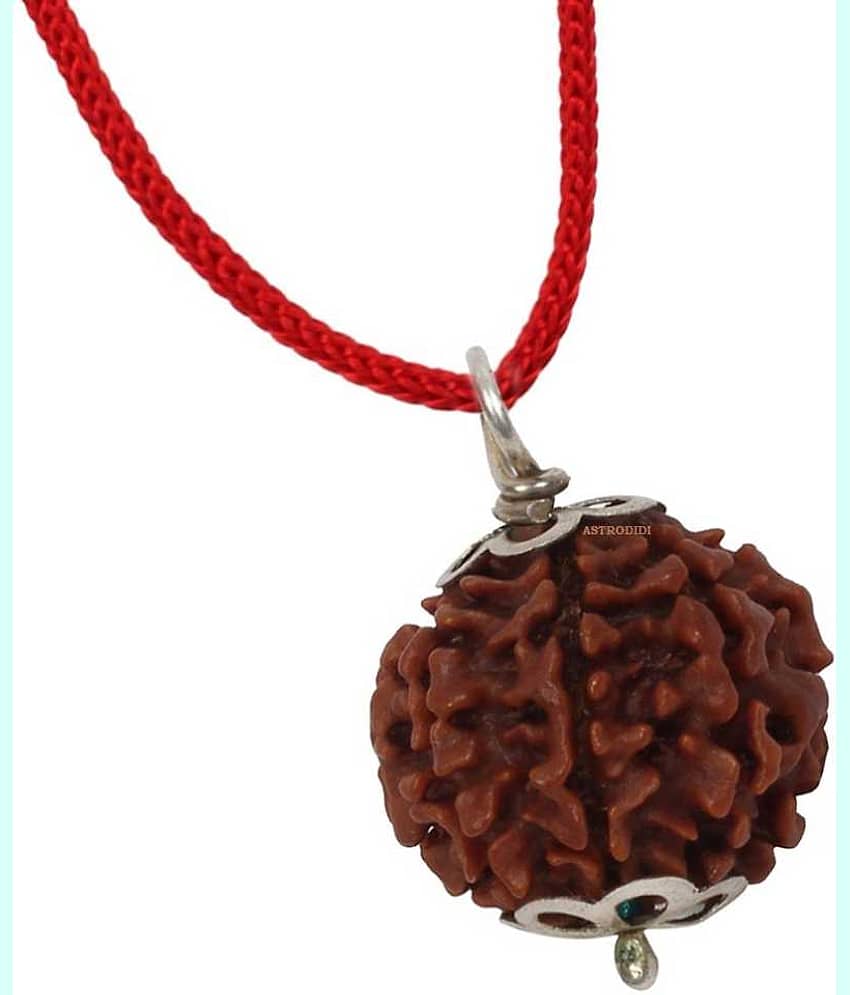 Astrodidi 6 Mukhi Rudraksha Pendant With Lab Certificate