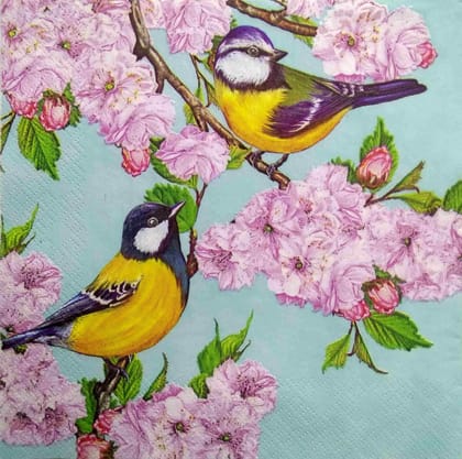 Decoupage Napkin / Tissue papers - 33cm by 33cm - GT2125