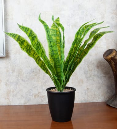 Foliyaj Artificial Snake Plant with Black Pot |Artificial Plants for Home Decor| Indoor Artificial Plants for Living Room|Potted Artificial Plants