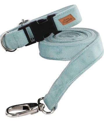 NUEVOS DOGGADIL - Black Collar ( X-Small )