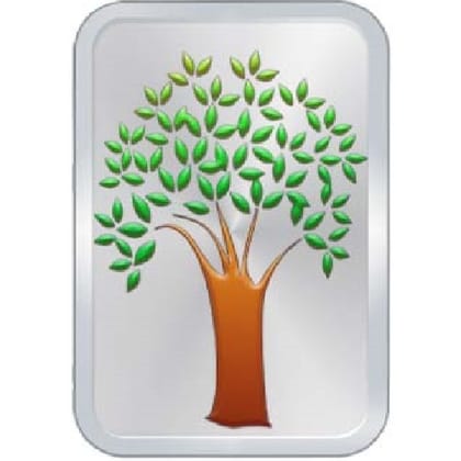 Silver Coin