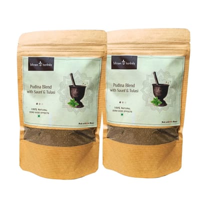 PNC-Mint Pudina Blend with Saunf, Holy Basil Tulsi Powder Pack of 2 Each100Gms Way to Improve Digestion, Reduce Stomach Discomfort