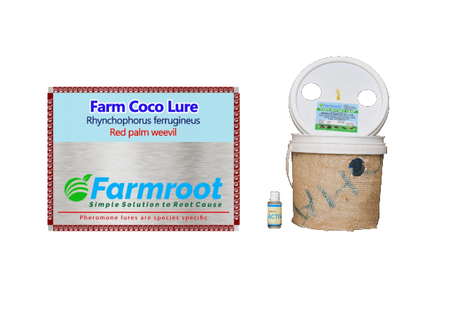 Farmroot RED Palm Weevil Lure and Bucket Trap Combo (Pack of 10)