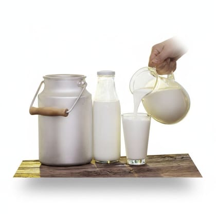 Fresh Dairy Milk - 400 gm - One container of milk
