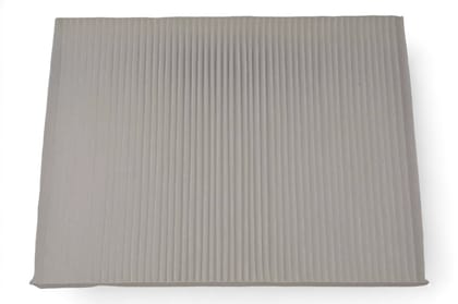 Tata Ac Filter 541283406015