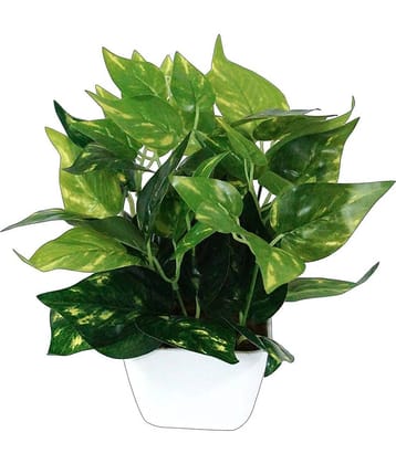 YUTIRITI Miniature Money Plant Green Artificial Tree Plastic - Pack of 1
