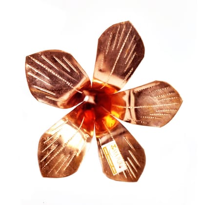 MAYAPURI Copper Amra Pallav/Aam patta/Pooja Mango Leaf for Puja | Size: 3.5x3.5x3.5 inches