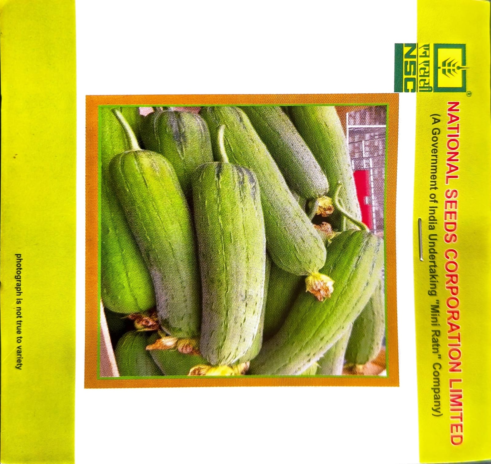 Nsc-spoung gourd/kashi shreya-5 gms seeds