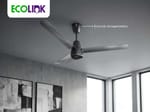 Ecolink - Noida