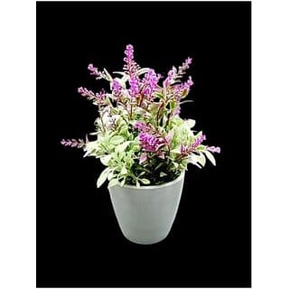 De Gardenia Mini Artificial Plants Multicolours Lifelike Fake PlantsHome and Office Decor Mini Artificial Plants Set for Home and Office Decor Lifelike Fake Plants (Purple 1)