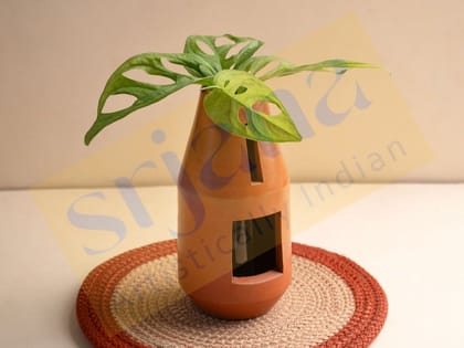 Srjana Terracotta Bottle Shaped Indoor Planter with Glass Tube single pc