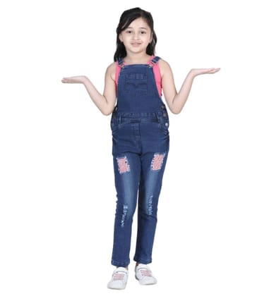 Girl's Denim Patch Work Buttoned Dungaree (Blue, 14-15-Yrs)-PID66050