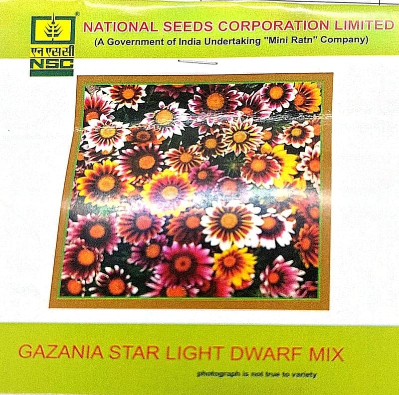 NSC Gazania Star Light Dwarf Mix Flower Seed