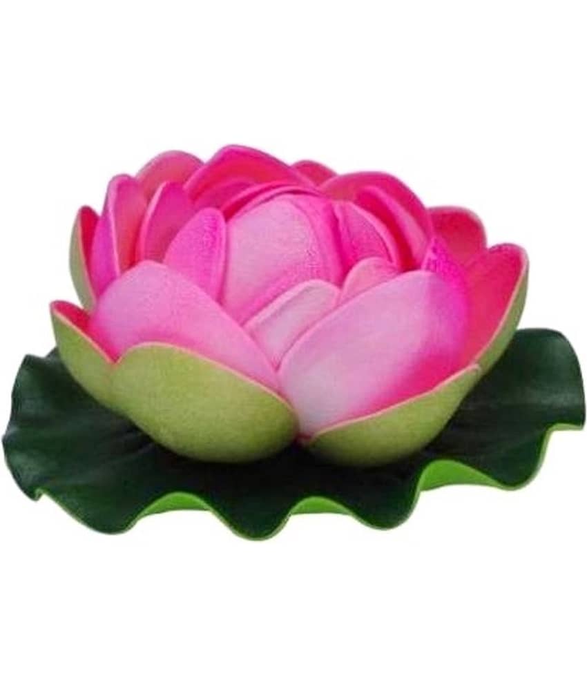 Green plant indoor Lotus Multicolour Floating Flowers - Pack of 1