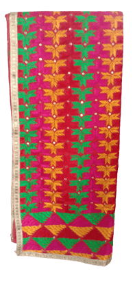 Punjabi Traditional Phulkari 